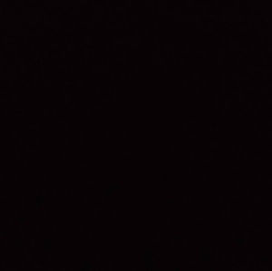 Meet your Posher, Janie